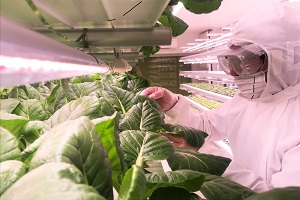 徹底した管理！！