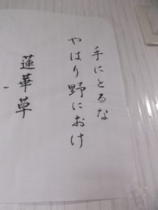 習字レク